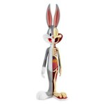 looney-tunes-bugs-bunny-anatomical-wabbit-by-jason-freeny_72dbdf51455a43219254a87238805683.jpg.580x580_q85
