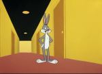 wideo-wabbit-21d4839f-2f76-42ec-a6f8-e40c01e493d-resize-750